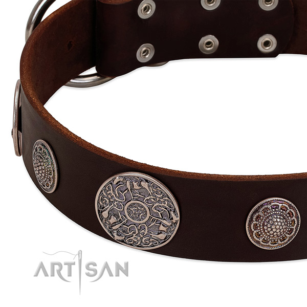 Rust resistant studs on full grain leather dog collar