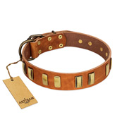 "Olive Slice" FDT Artisan Tan Leather Amstaff Collar with Engraved and Smooth Plates