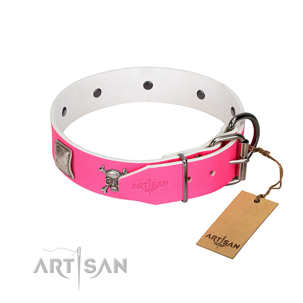 Comfy wearing full grain genuine leather dog collar with extraordinary studs