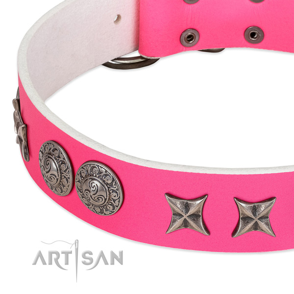 Top rate full grain leather dog collar handmade for your four-legged friend