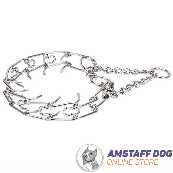 Dog prong collar of strong stainless steel for large pets