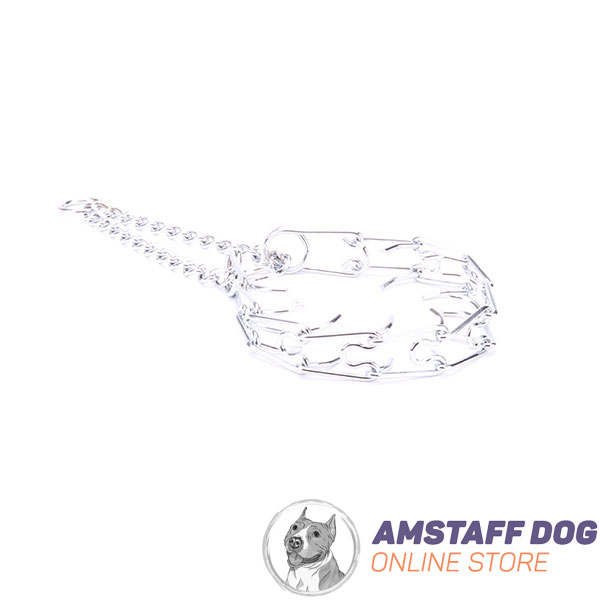 Chrome plated dog prong collar for poorly behaved dogs