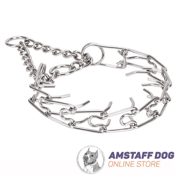 Reliable rust resistant dog pinch collar with stainless steel removable prongs