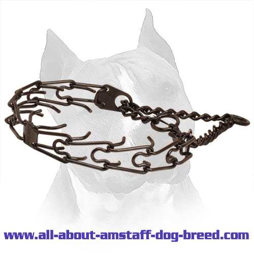 Black Dog Pinch Collar of Stainless Steel