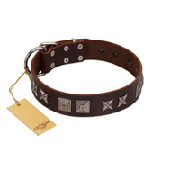 "Needle Stories" Modern FDT Artisan Brown Leather Amstaff Collar with Square Engraved Plates and Four-Point Stars
