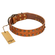 "Walk and Shine" FDT Artisan Tan Leather Amstaff Collar with Antiqued Studs