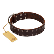 "Star Party" Handmade FDT Artisan Brown Leather Amstaff Collar with Silver-Like Studs