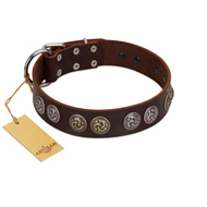 "Treasure Hunter" FDT Artisan Brown Leather Amstaff Collar with Old-Bronze-like and Silvery Medallions