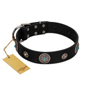 "Blue Gems" FDT Artisan Black Leather Amstaff Collar with Chrome Plated Studs and Conchos