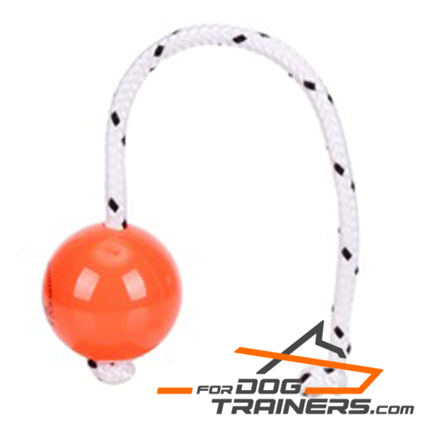 Dog training ball 