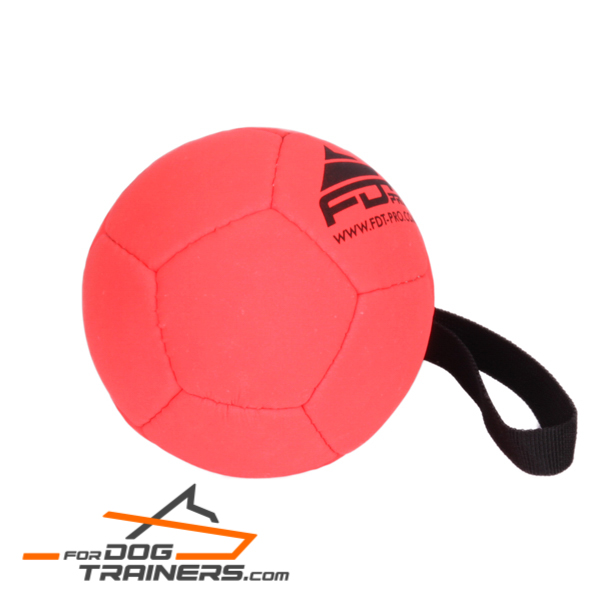 Training orange dog ball 
