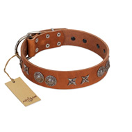 "Splendid Armor" Premium Quality FDT Artisan Tan Designer Amstaff Collar with Shields and Stars