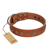 "Lucky Star" Handmade FDT Artisan Designer Tan Leather Amstaff Collar with Round Plates