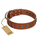 "Silver Century" Fashionable FDT Artisan Tan Leather Amstaff Collar with Silver-Like Plates