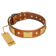 "Mutt The Daredevil" FDT Artisan Tan Leather Amstaff Collar with Old Bronze-like Skulls and Plates