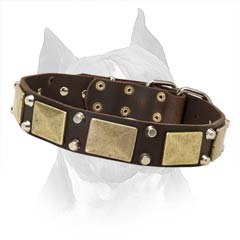 Sturdy Amstaff Dog Collar With Rust-Proof Fittings