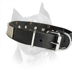 Carefully Stitched And Riveted Dog Collar