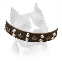 Soft Leather Collar Is Very Pleasant To The Touch