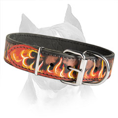 Durable Dog Collar Made Of The Strongest Leather