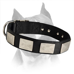 Designer Amstaff Nylon Dog Collar With Decorative  Plates