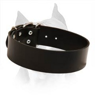 Elegant Wide Leather Dog Collar For Walking In Style  With Your Amstaff Dog