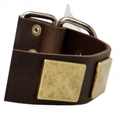 Trendy Dog Collar For Amstaff Dog Is Very Comfortable  For Wearing