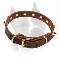 Don't Miss Your Chance To Purchase This High-Quality  Dog Collar
