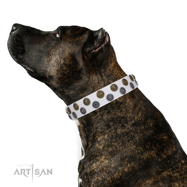 Daily walking embellished dog collar of durable material