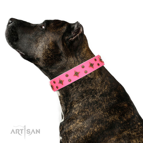 Basic training decorated dog collar of reliable material