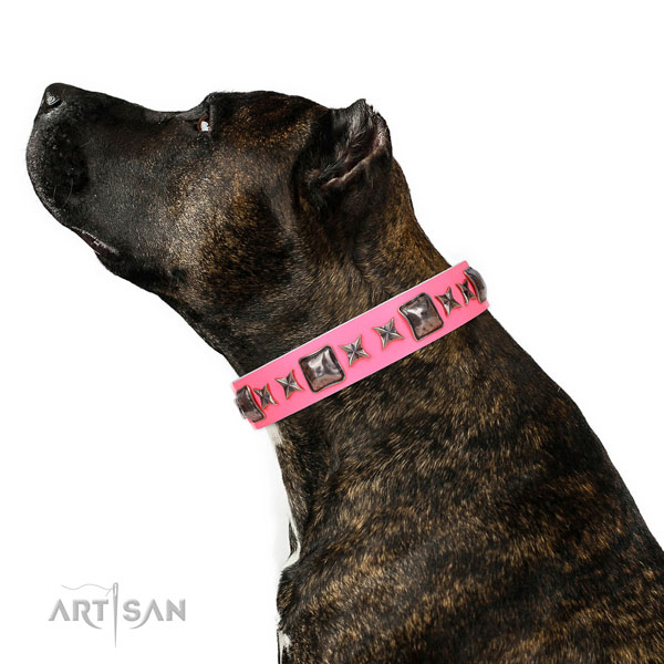 Impressive embellished genuine leather dog collar for comfortable wearing