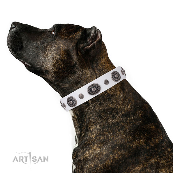 Genuine leather dog collar with durable buckle and D-ring for everyday use