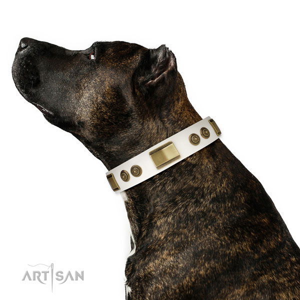 Reliable handy use dog collar of natural leather