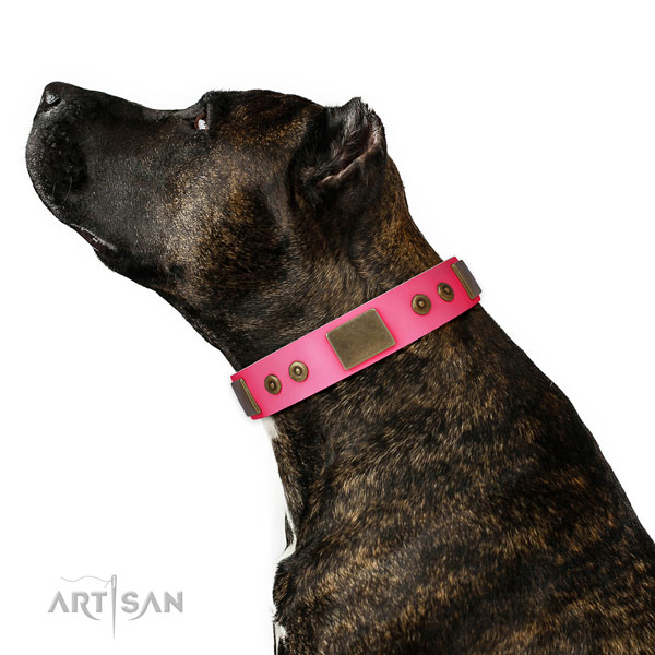 Unique natural genuine leather collar for your lovely four-legged friend