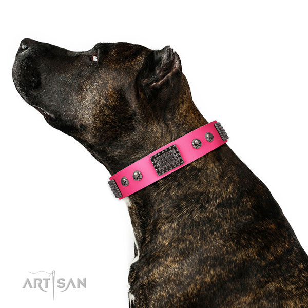 Extraordinary leather collar for your impressive pet