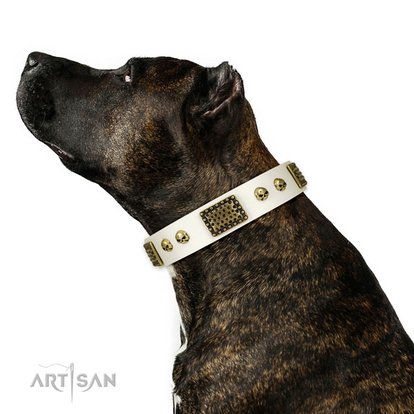 Rust resistant buckle on full grain genuine leather dog collar for comfortable wearing