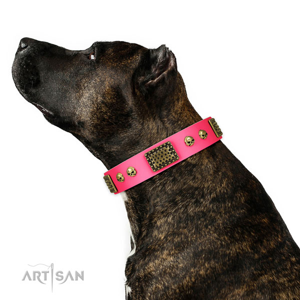 Durable buckle on genuine leather dog collar for everyday walking