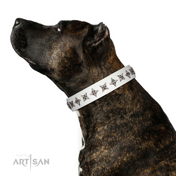Finest quality full grain natural leather dog collar with top notch adornments