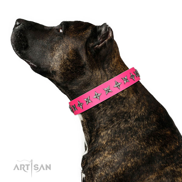 High quality natural leather dog collar with impressive adornments