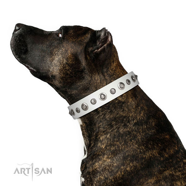 Natural leather collar with rust-proof buckle for your attractive pet