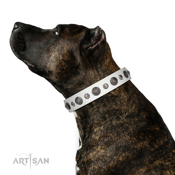 Adorned leather dog collar with corrosion proof hardware