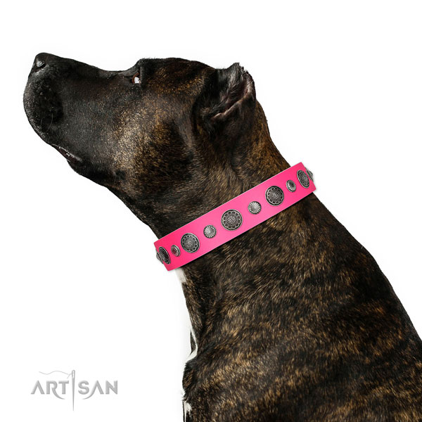 Fashionable natural leather dog collar with rust resistant D-ring