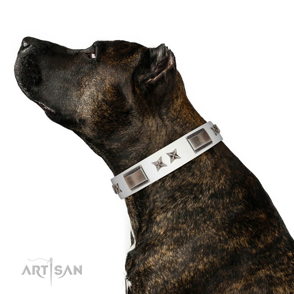 Easy to adjust collar of leather for your stylish doggie