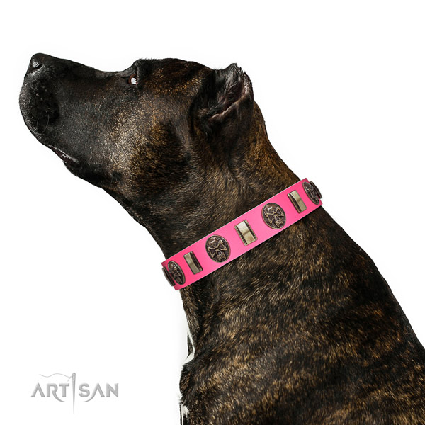 Corrosion resistant hardware on full grain genuine leather dog collar for fancy walking