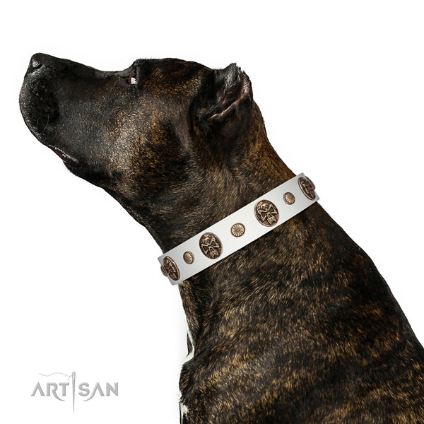 Unique dog collar made for your lovely pet