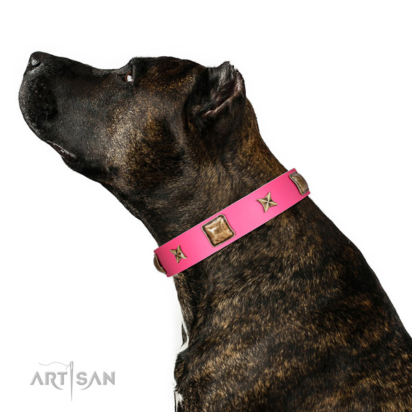 Full grain natural leather dog collar of soft to touch material with significant decorations