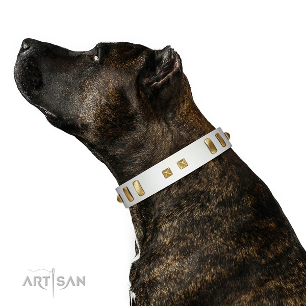 Impressive studded leather dog collar of flexible material