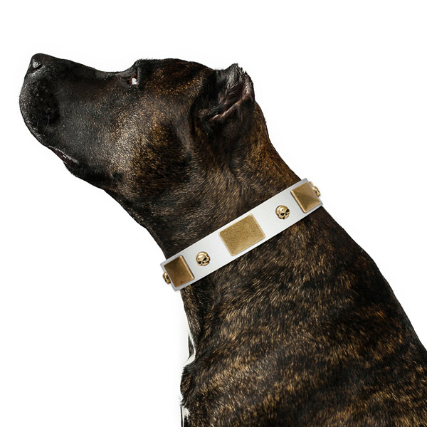 Soft to touch full grain leather dog collar handmade of genuine quality material