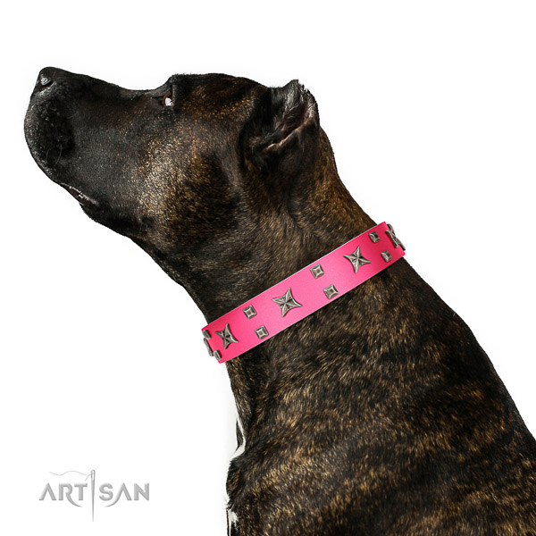 Easy adjustable full grain leather dog collar for walking