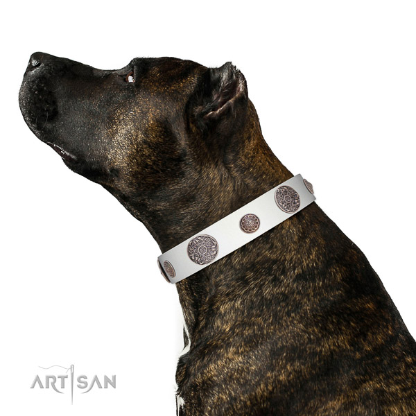 Strong decorations on leather dog collar
