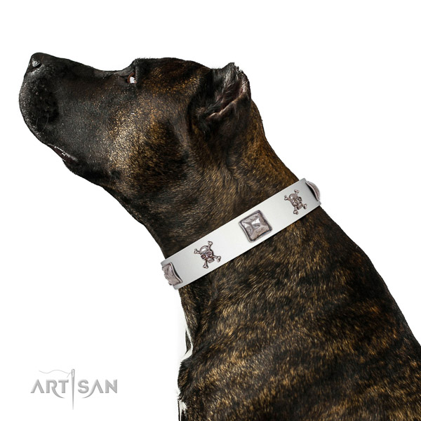 Soft to touch leather dog collar for your stylish pet